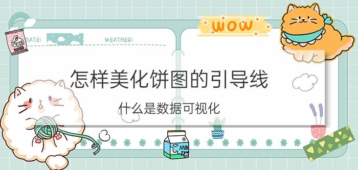 怎样美化饼图的引导线 什么是数据可视化？